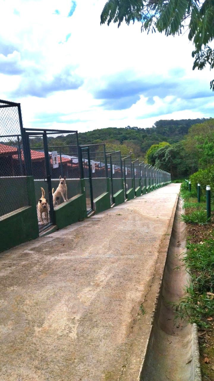 Encontrei um Amigo