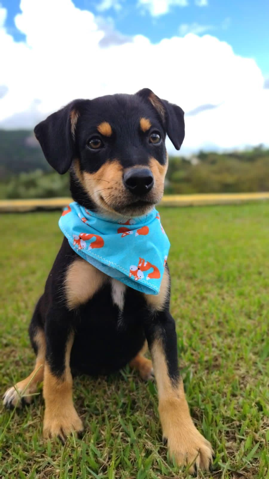Encontrei um Amigo