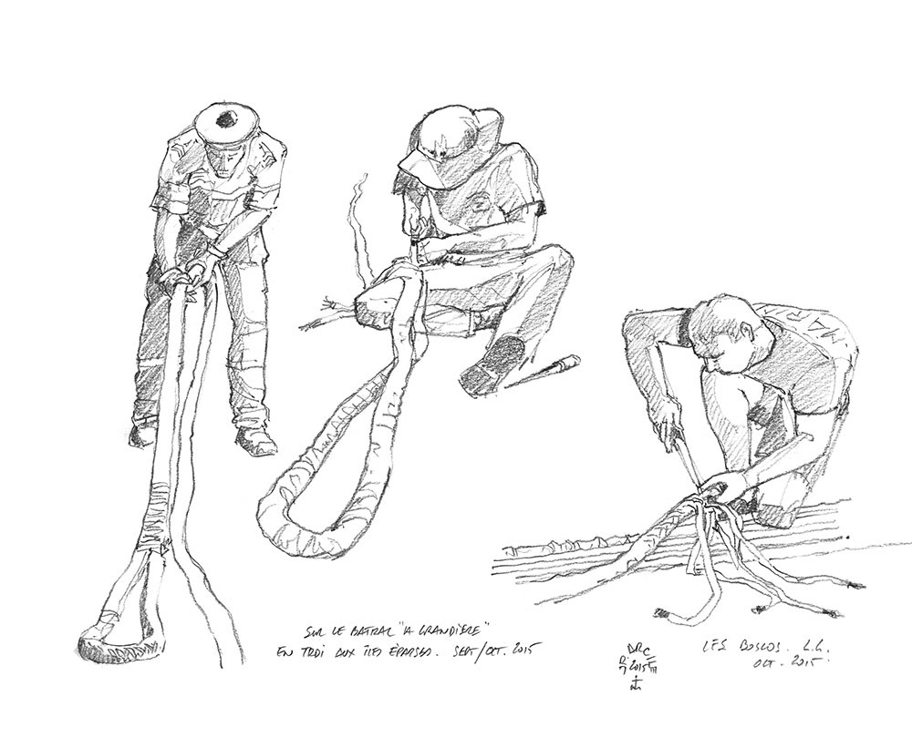 Crayonné 5 - Les épissures