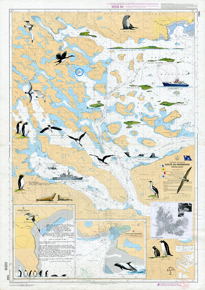 Réf. A-17.017 - Carte SHOM du Golfe du Morbihan des Kerguelen de la FS Nivôse illustrée à l'occasion de la nimination de l'île aux moines des kerguelen durant la mission TAAF 2016 (Terres Australes Antarctiques Françaises). Aquarelle sur carte marine - Col. Particulière