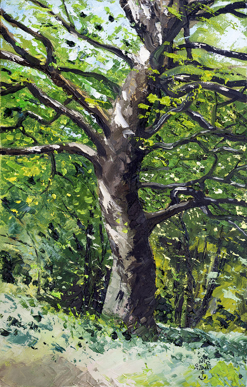 Réf. H-14.024 - L'arbre chemin du Goret. Huile sur toile 24x35 cm - Col. Particulière