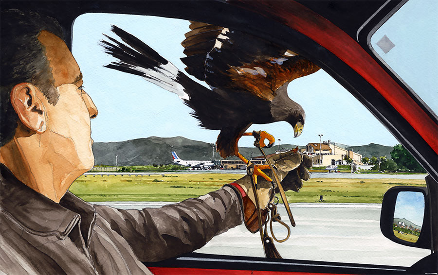 Réf. A-13.06 - Intervention du fauconnier de la BAN de Hyères. Aquarelle 29,5x18,5 cm