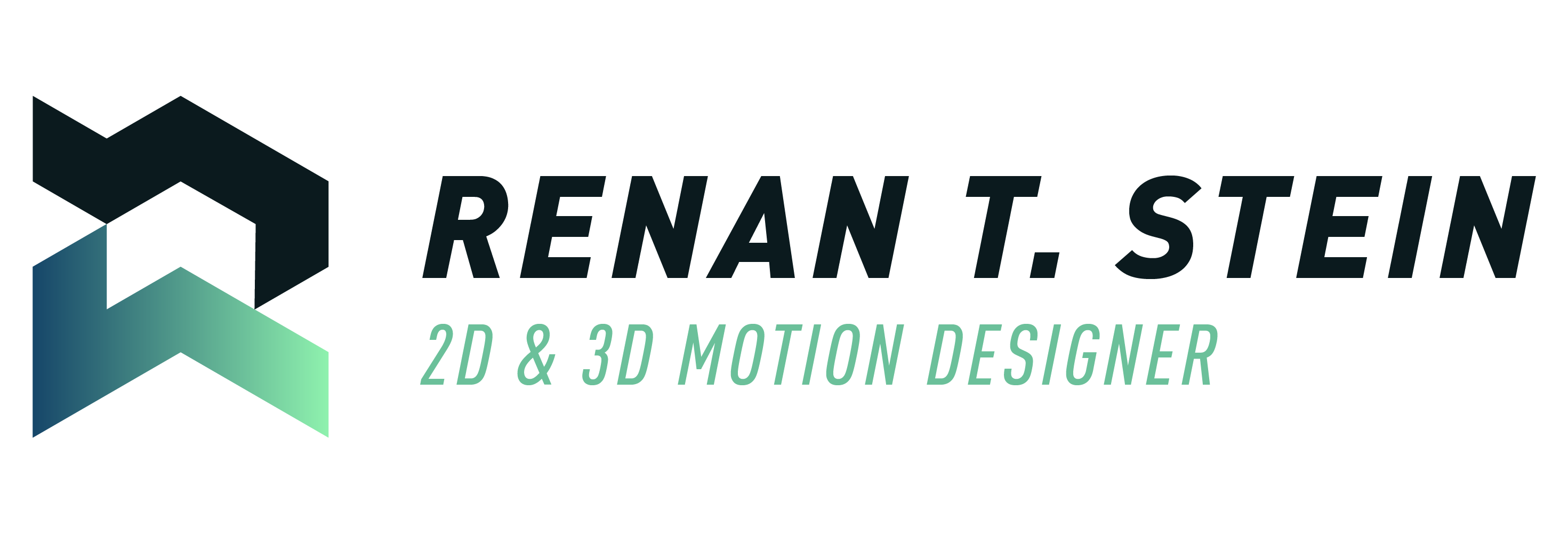 Renan T. Stein