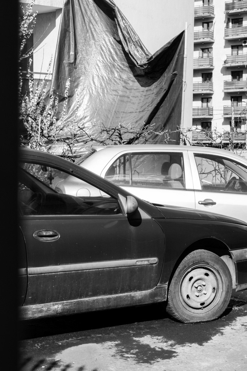 © SARINA BENSLIMANE
