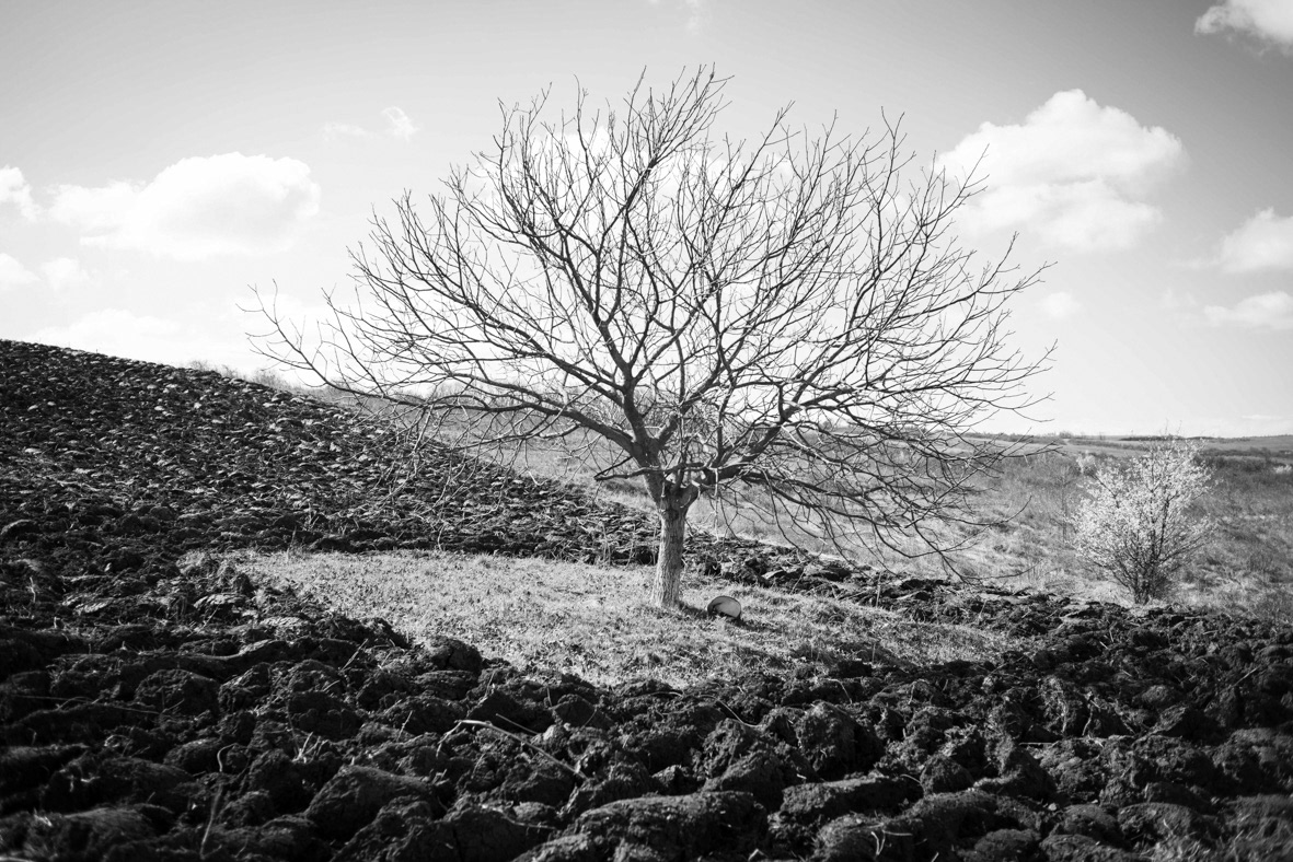 © NICOLAS BOTTIN
