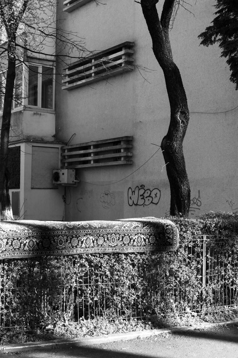 © SARINA BENSLIMANE