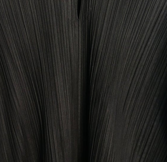 Pleated Silk Georgette
