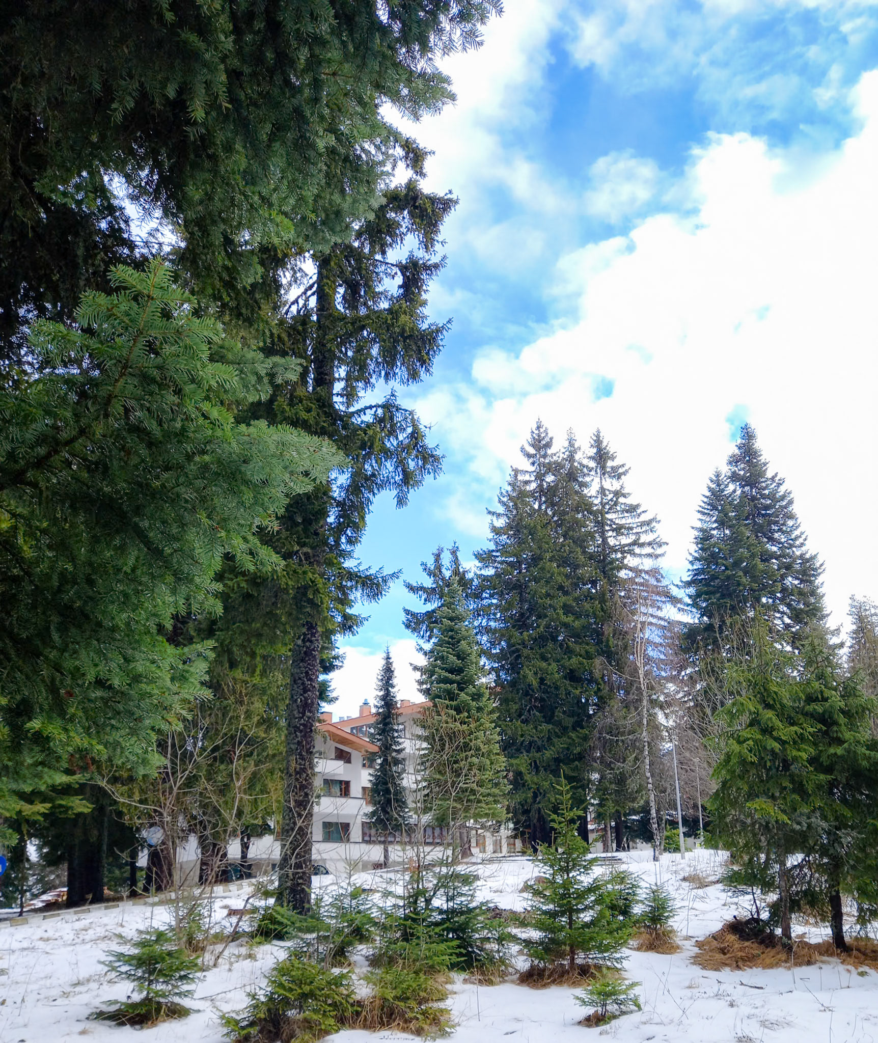 Hotel Elina