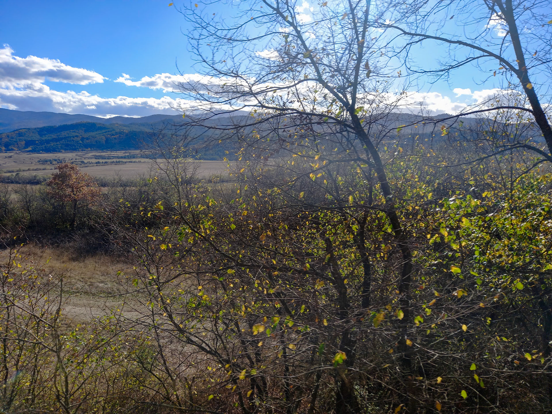 From window
