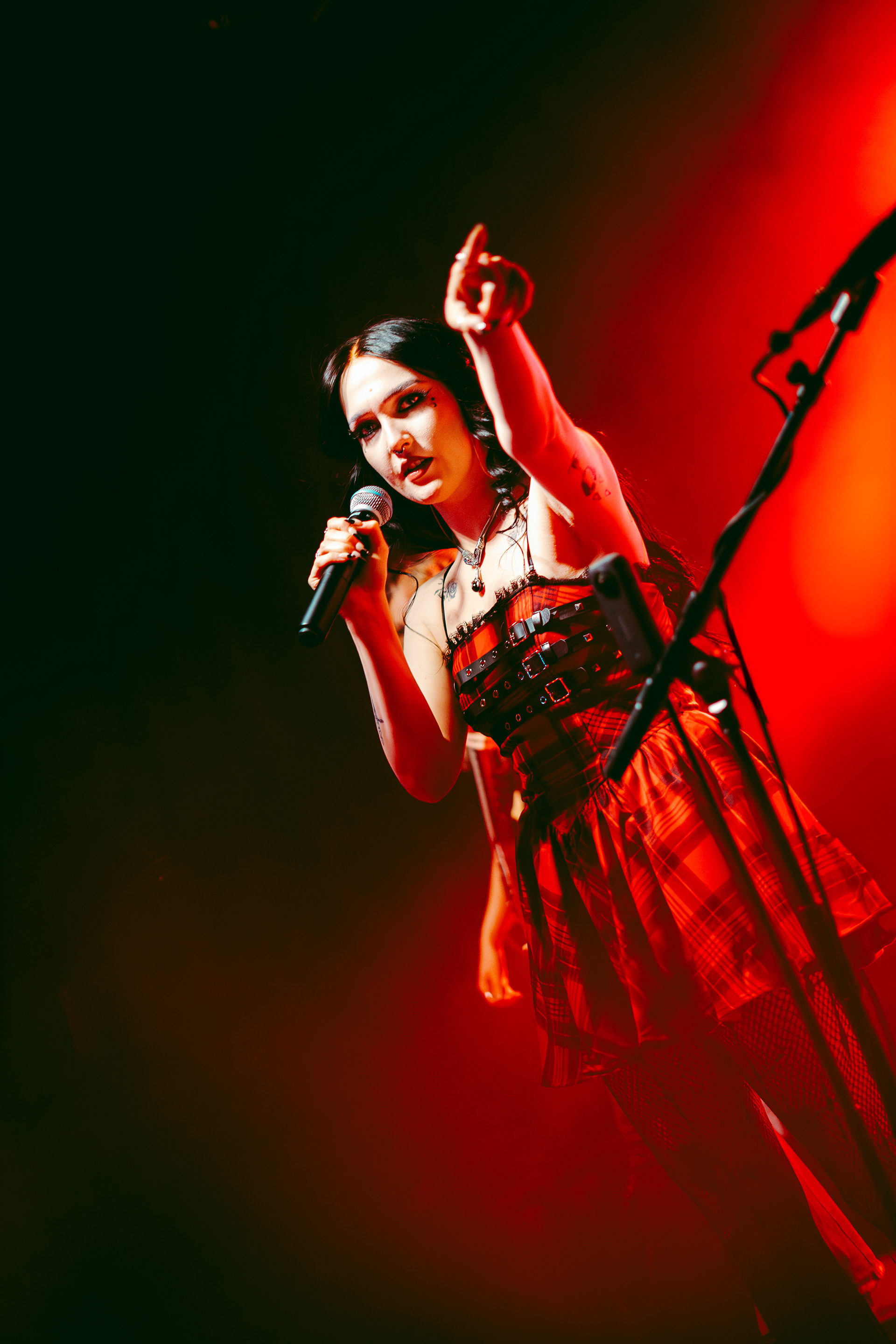 VENUS GRRRLS