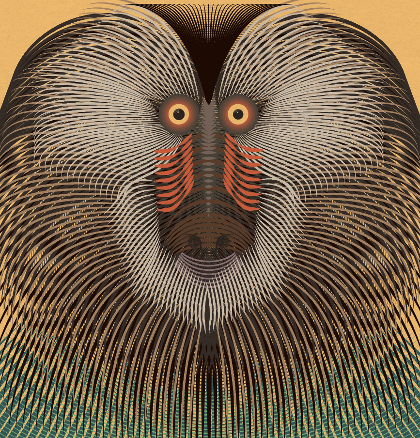 Linear primate