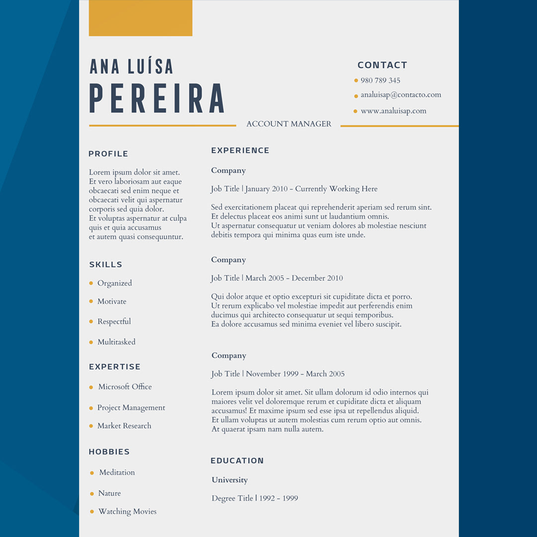 CV Layout