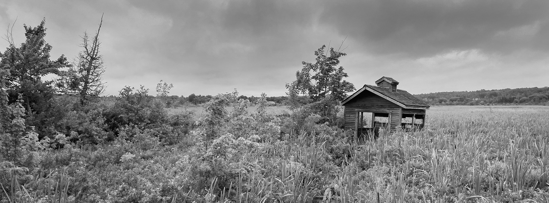 La cabane du marais - Martin Lalonde