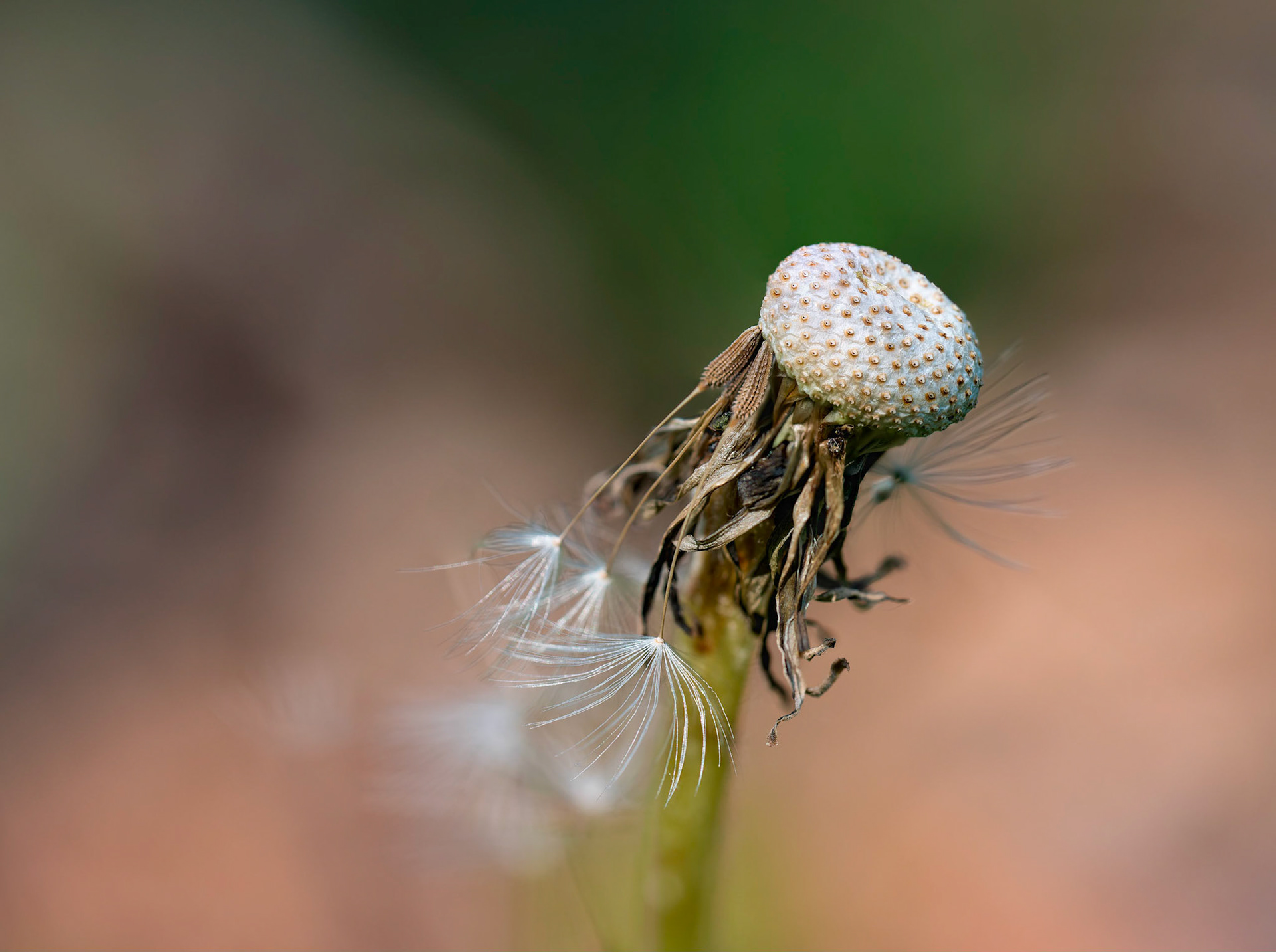 La vie à bout de souffle - Martin Lalonde