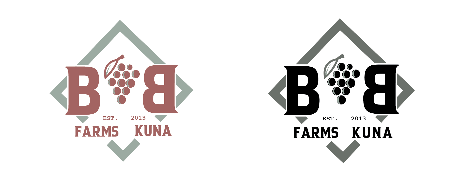 B and B Farms full rebrand and logo redesign for a multi-crop Idaho farm by a Boise small business graphic design studio