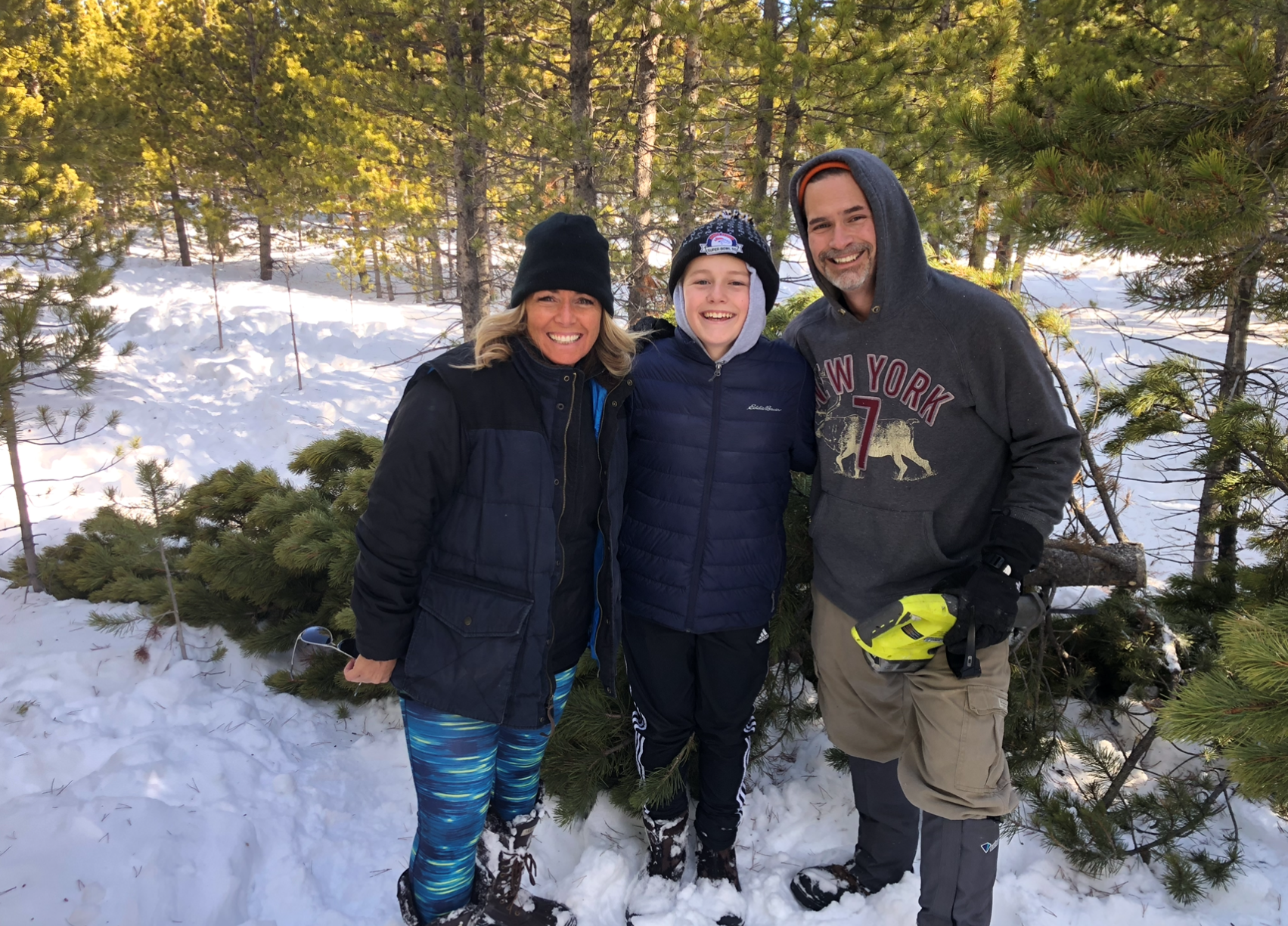 2019 - Cutting Down Our Own Tree