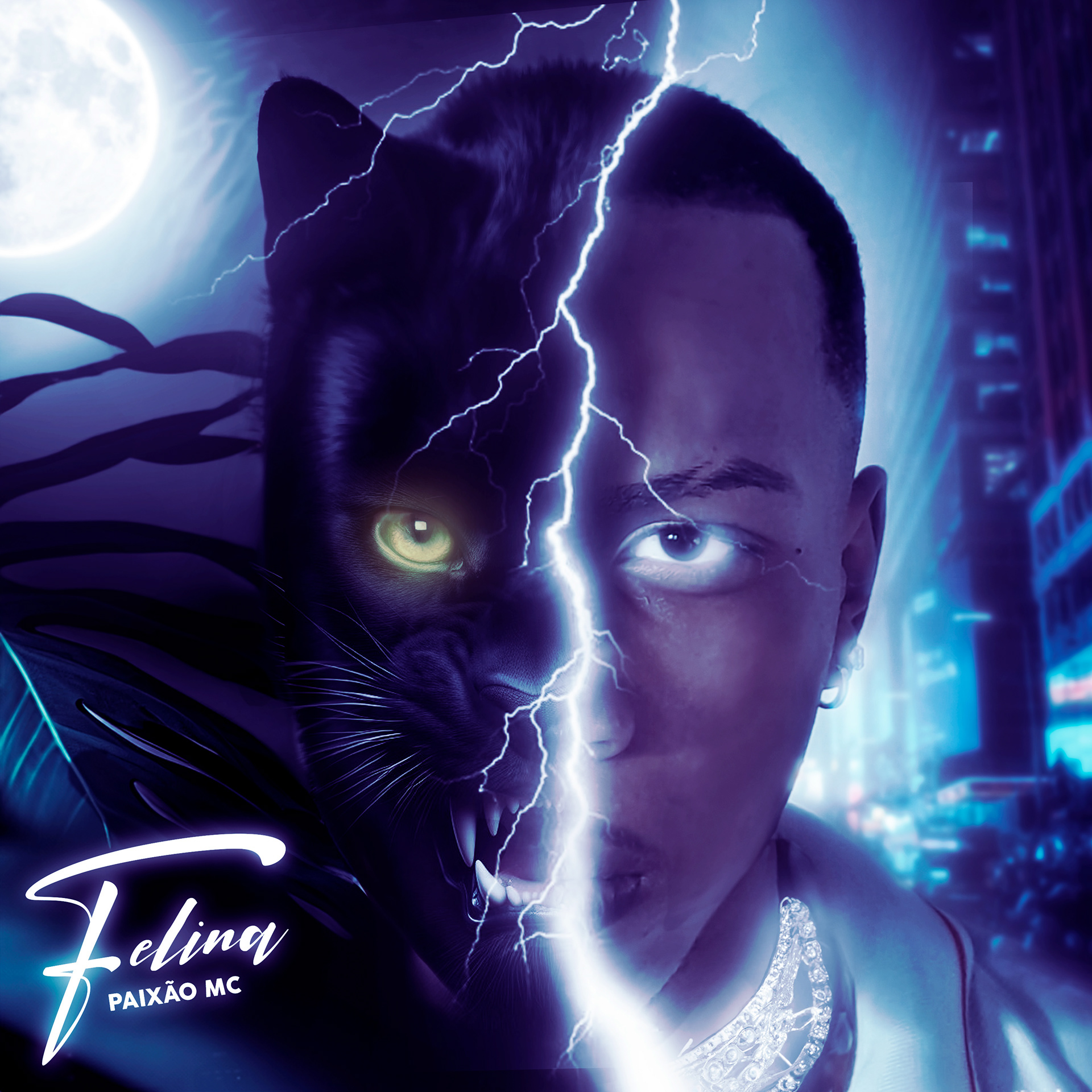 @paixaomc_ofc - Felina(Single)
