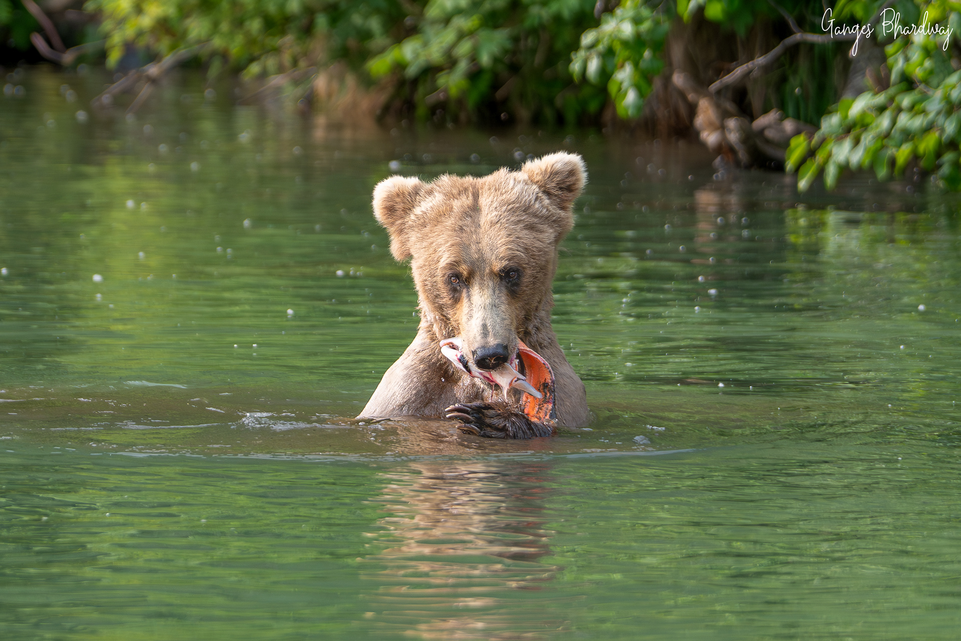 Meanwhile mama catches something