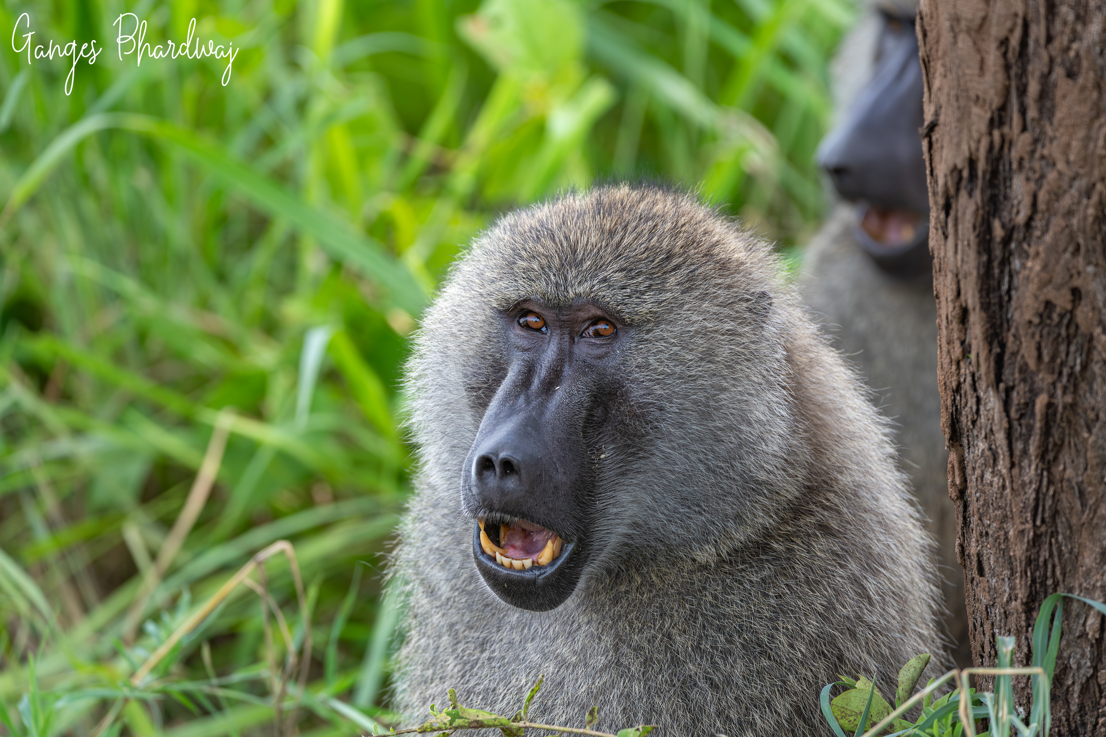 You're my Cousin?? What???