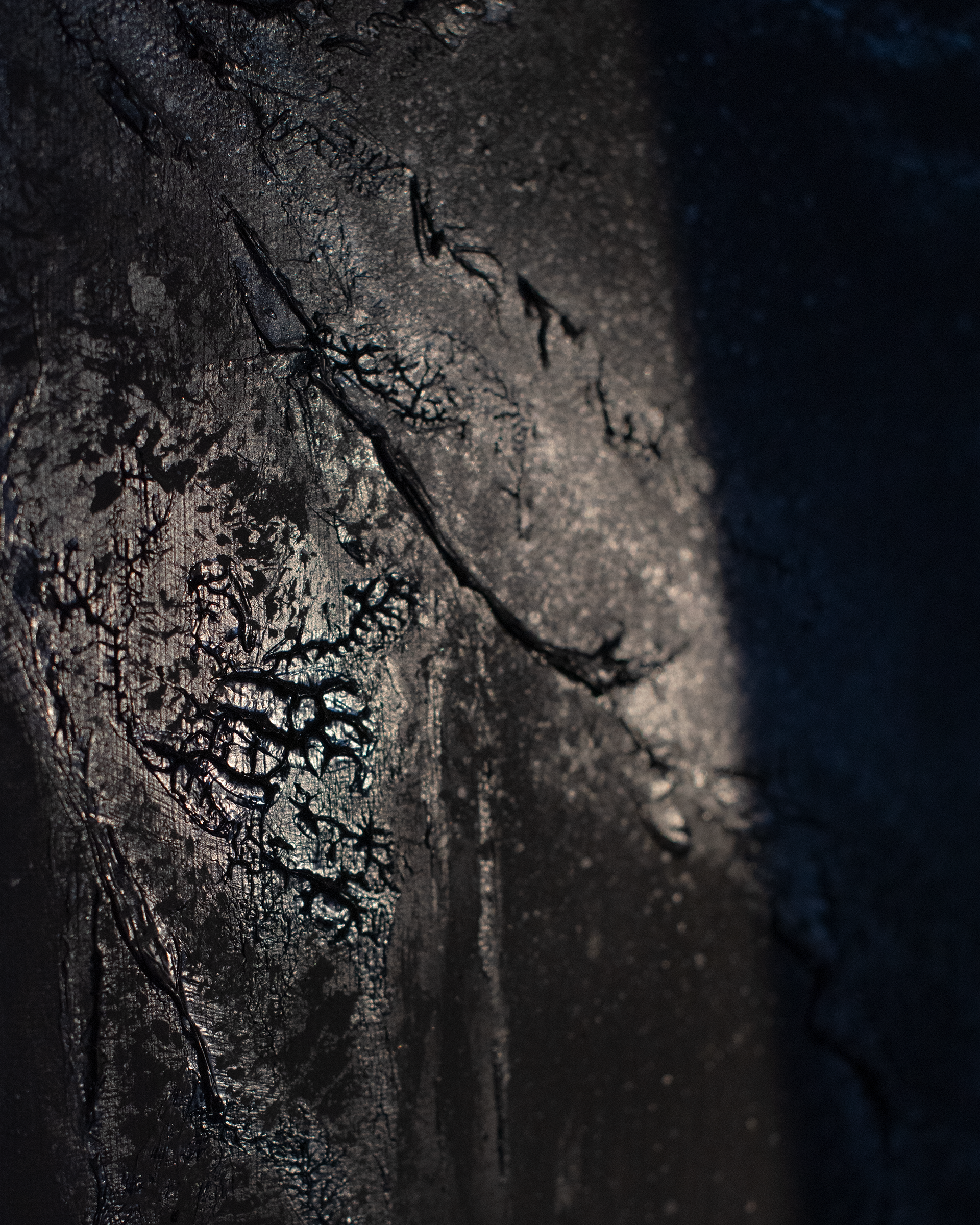 digital photography of mixed media on canvas, 30x30cm, 08.2024