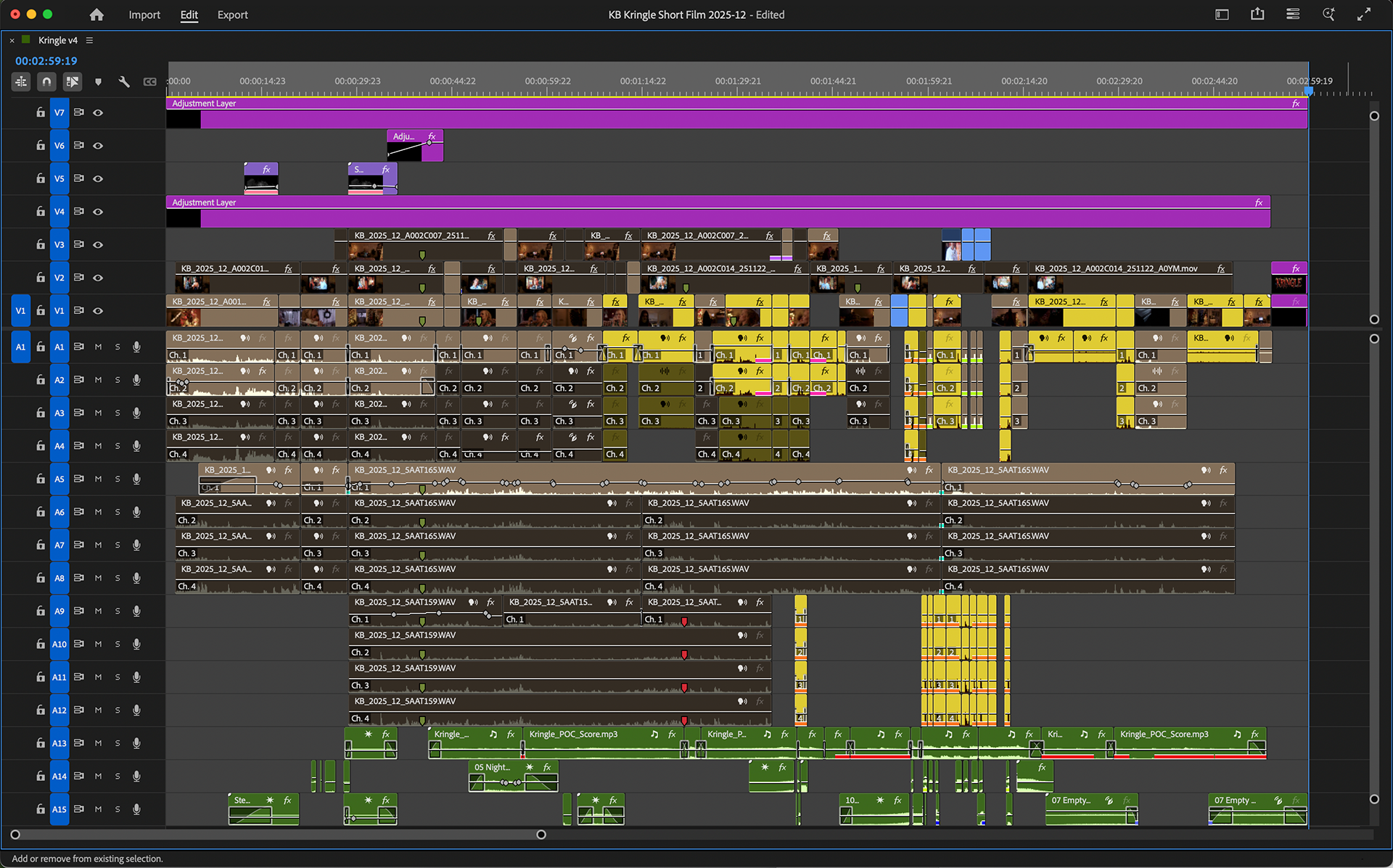 Finalized Cut of the Film
