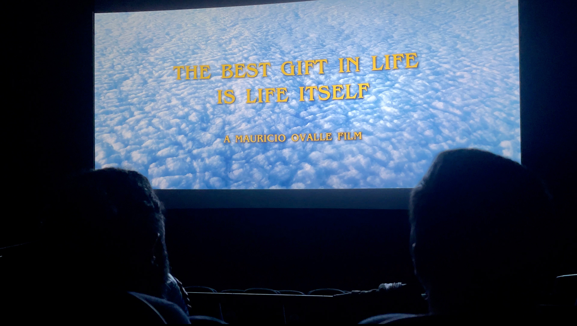 Our Screening at the Culver City International Film Festival