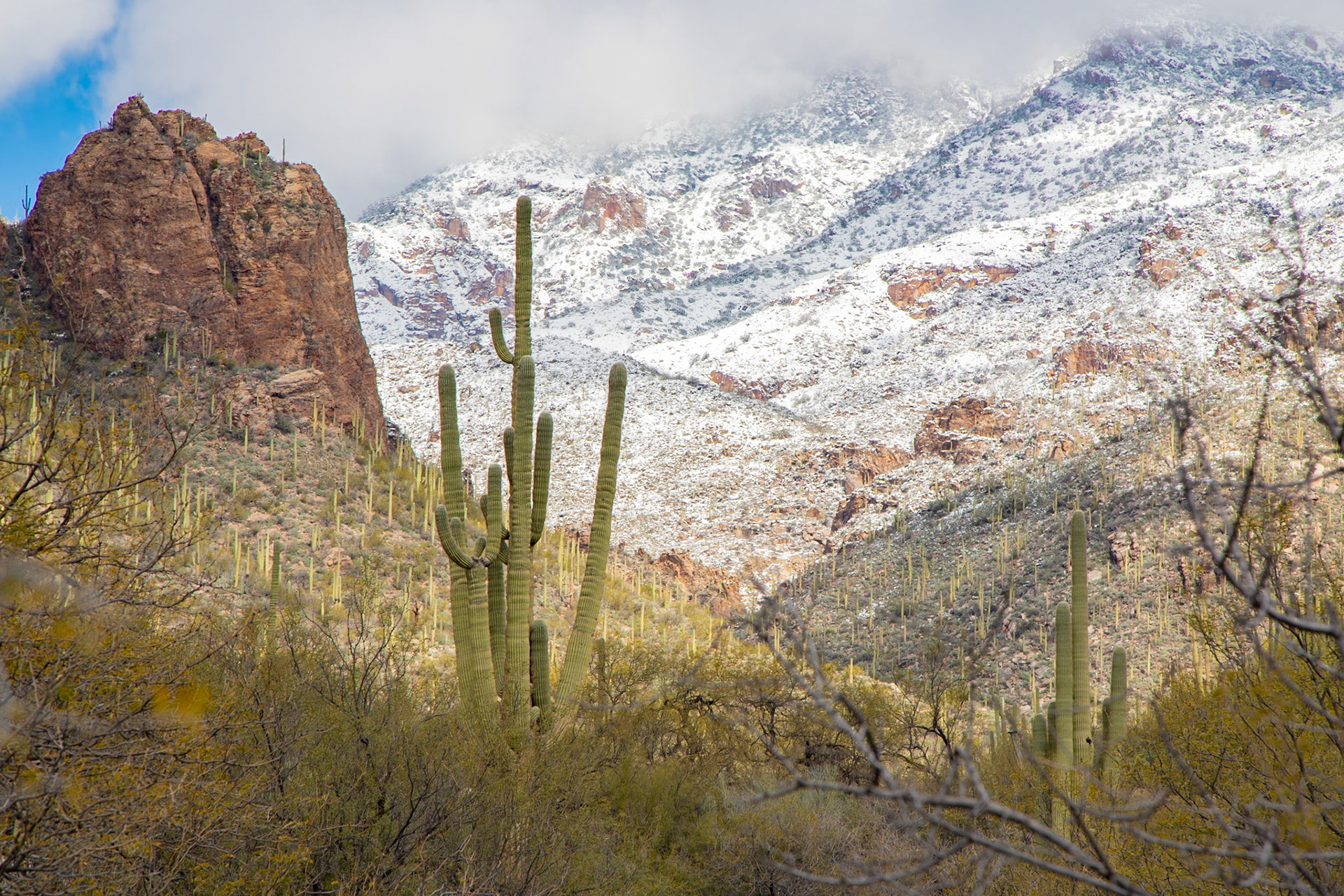 Snow fall in the Tucson Mountains.