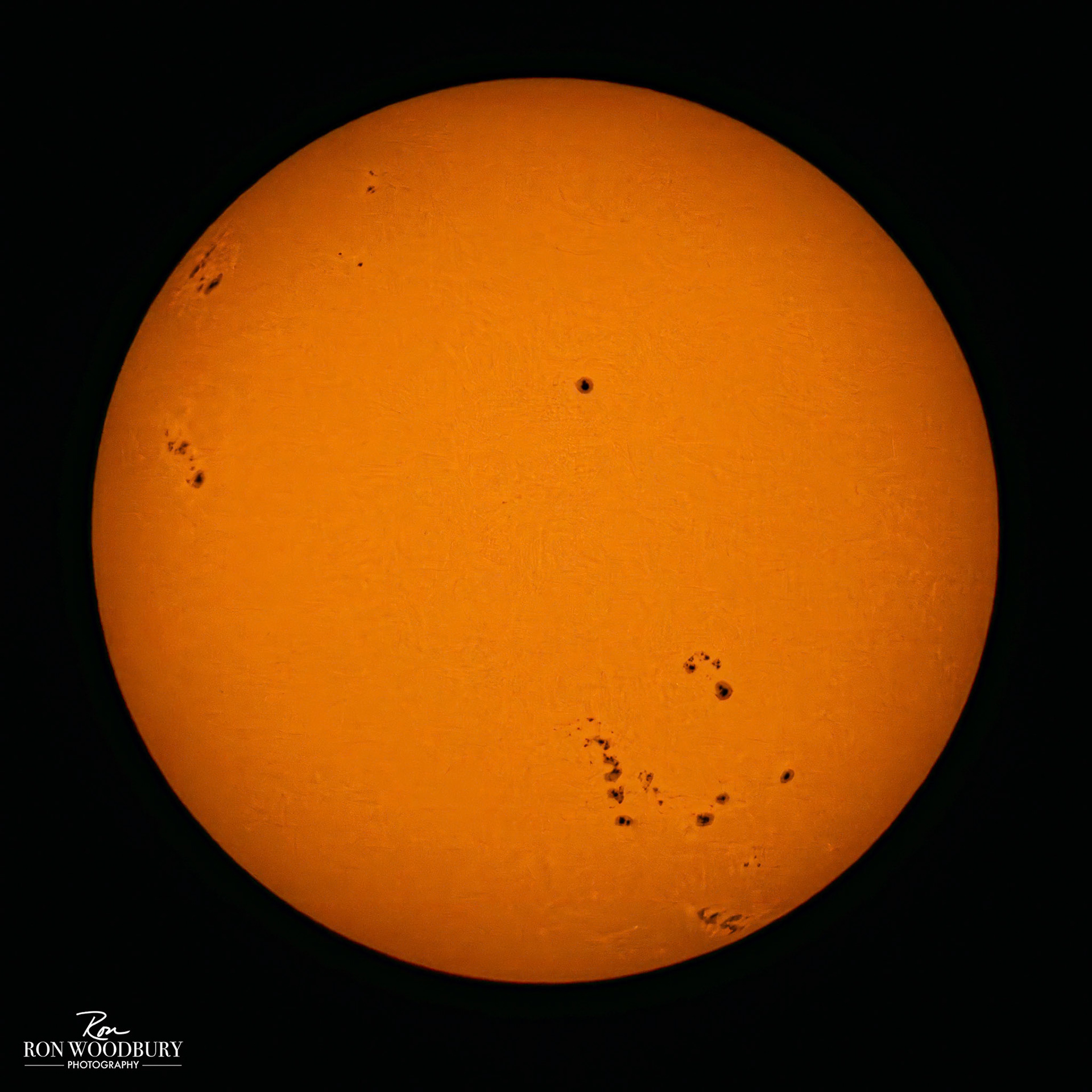 Nikon Z8 ~ 1200mm ~ f/40 ~ 1/500 ~ ISO 64