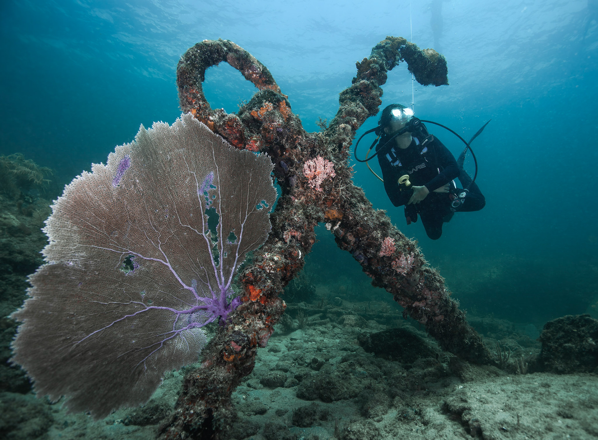SS Copenhagen, Lauderdale-by-the-Sea