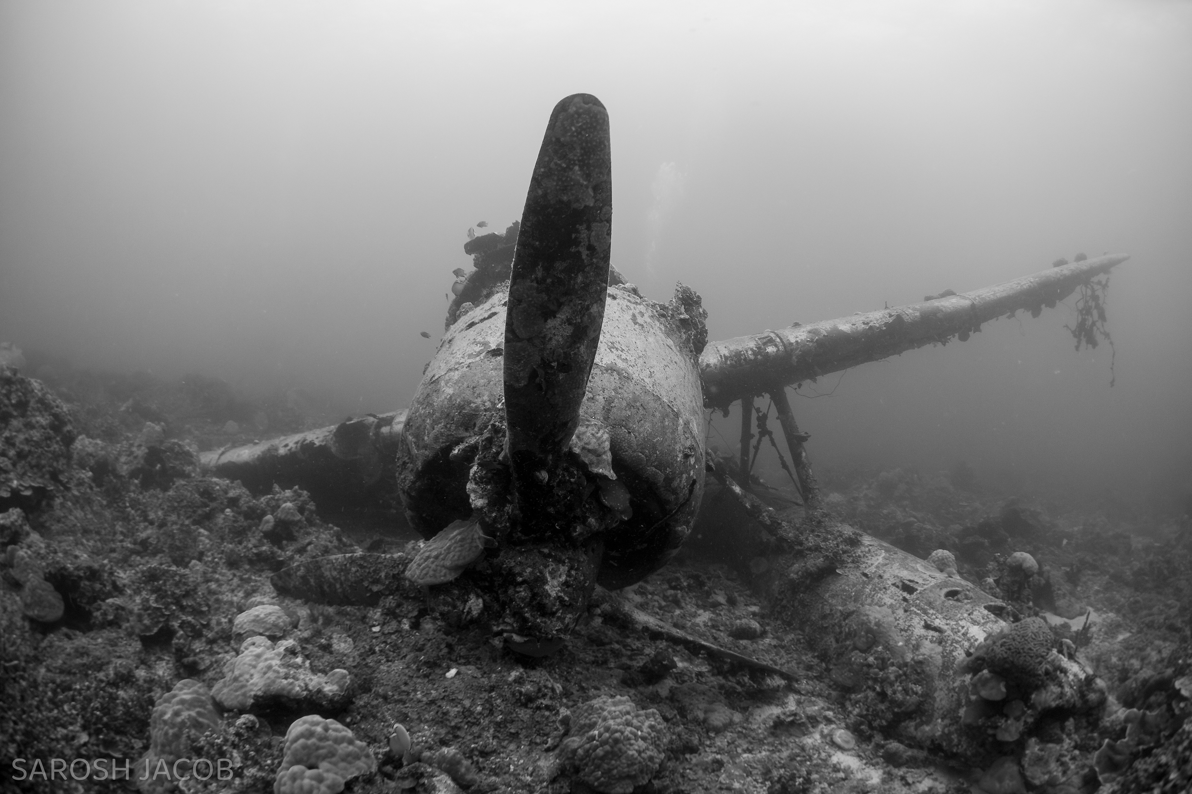 JAKE SEAPLANE WWII WRECK, PALAU