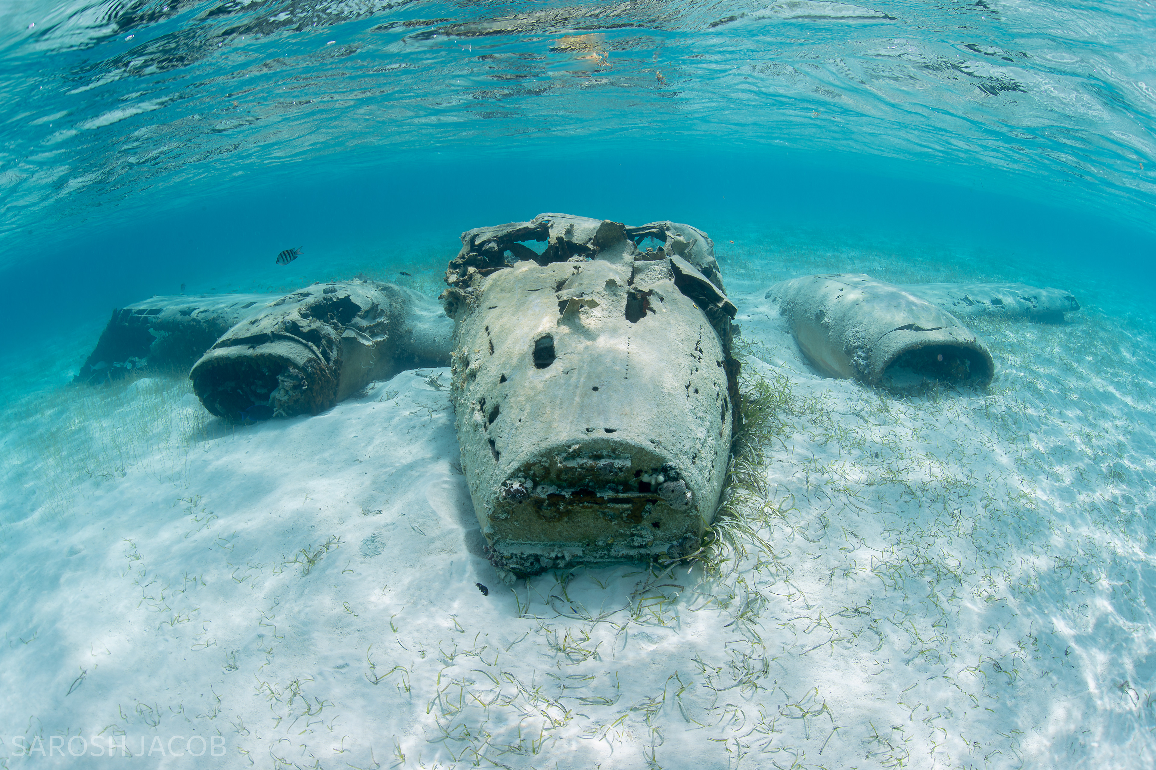SUNKEN DRUG PLANE, EXUMA