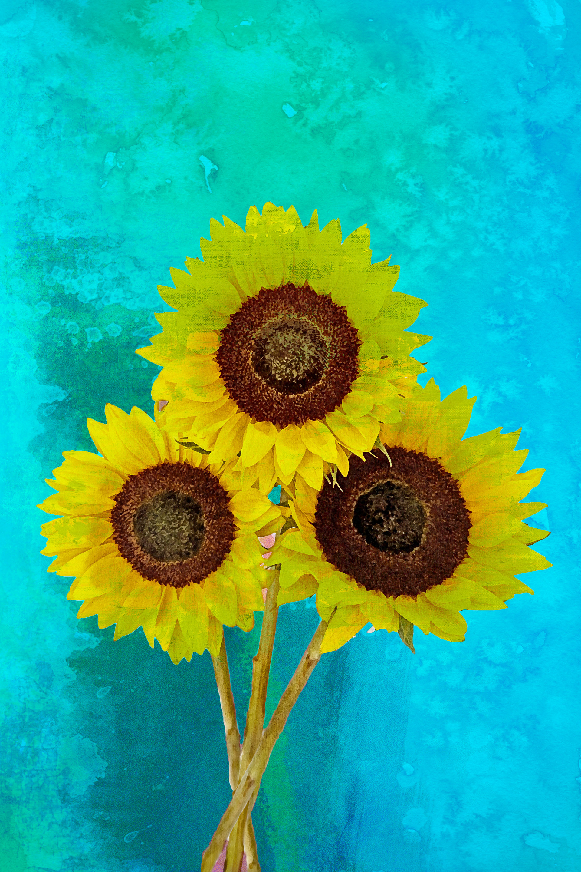 Sunflowers ii