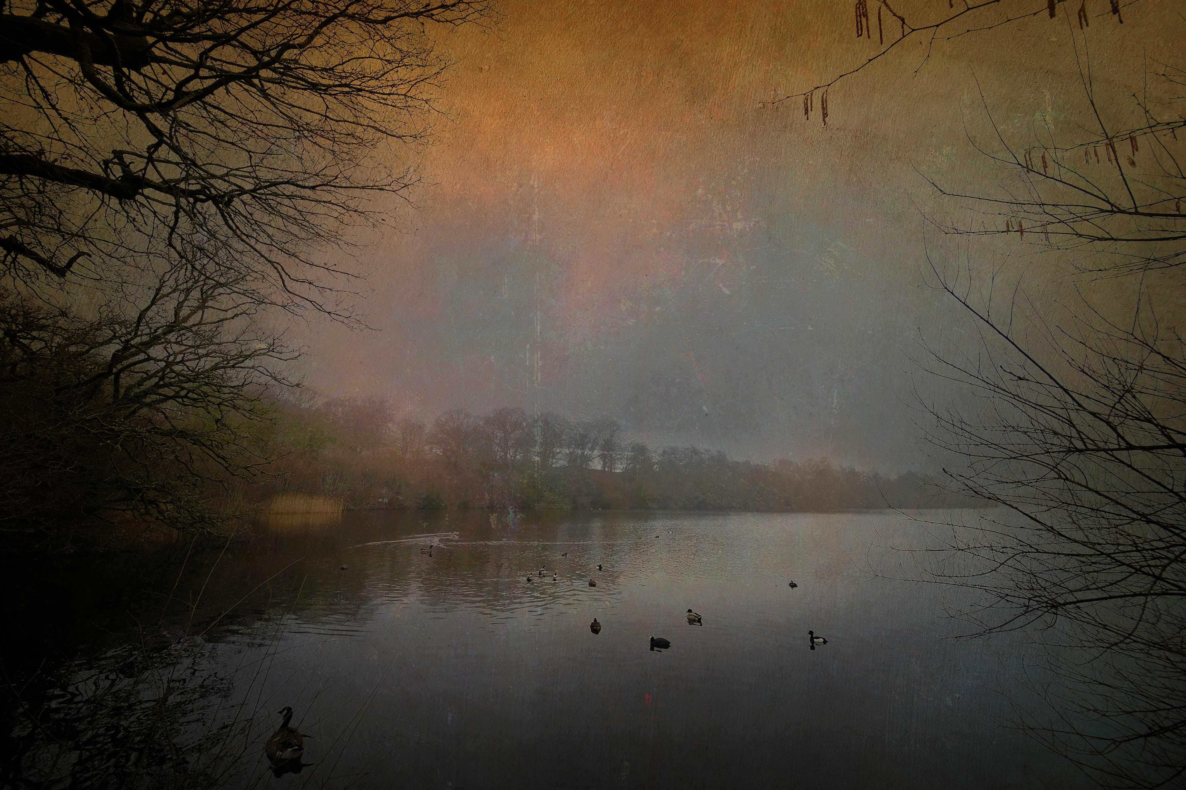 Misty lake