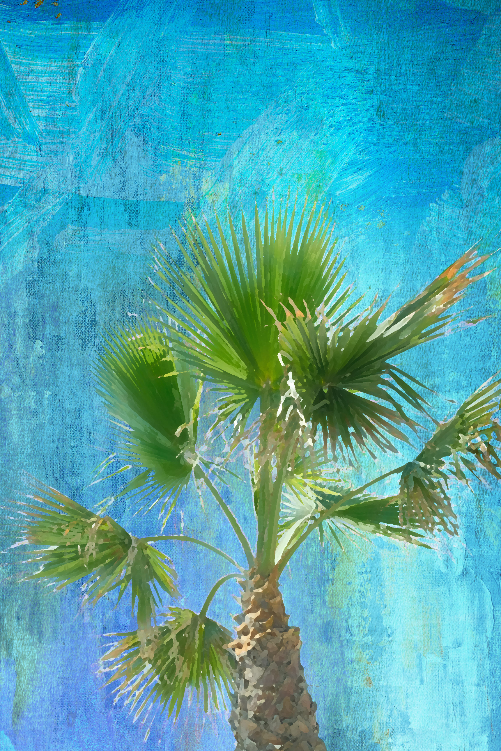 Palm i