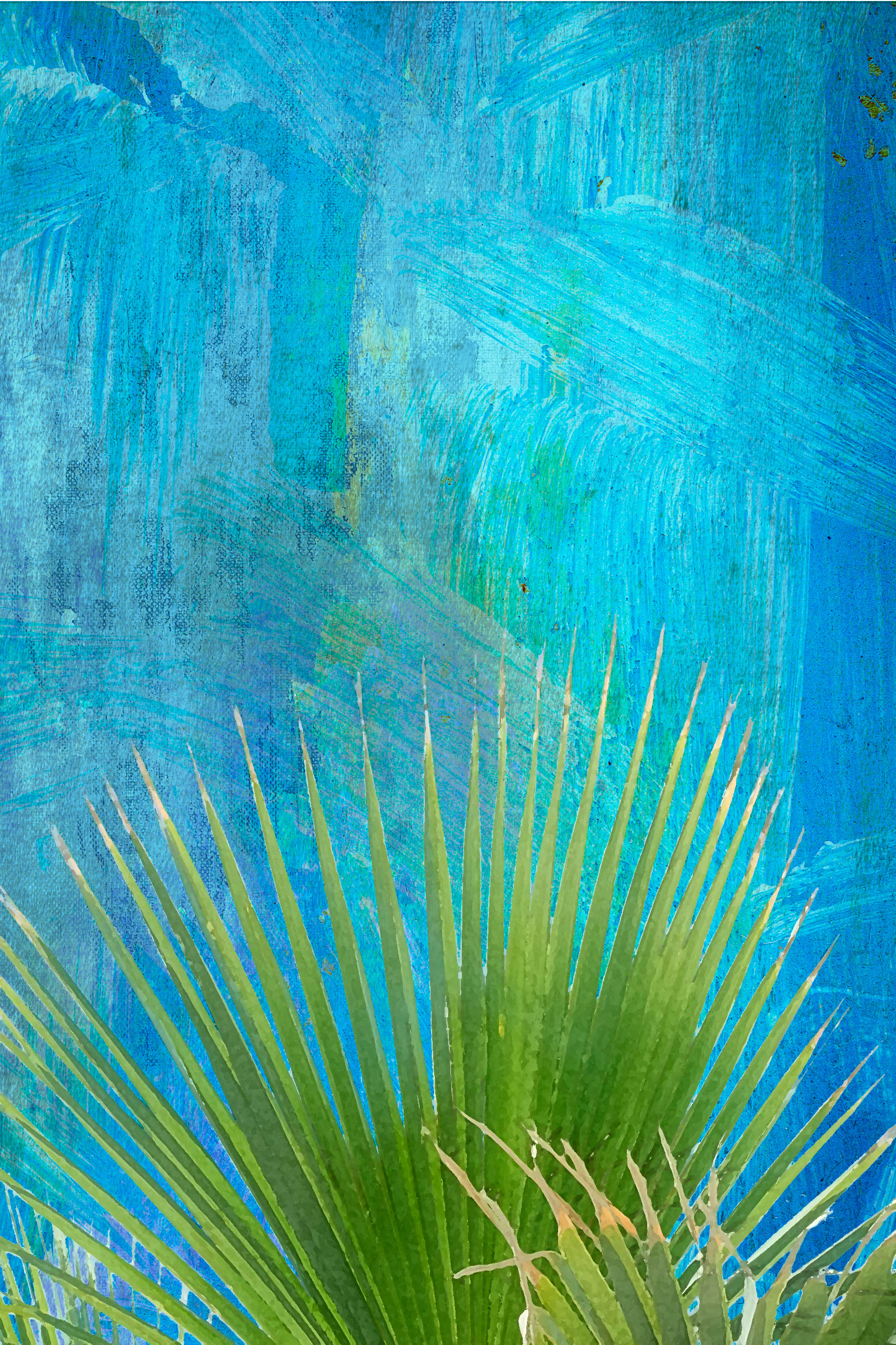 Palm ii