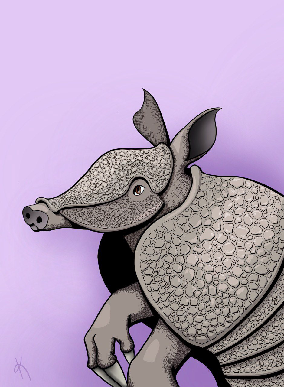 Armadillo 3/24