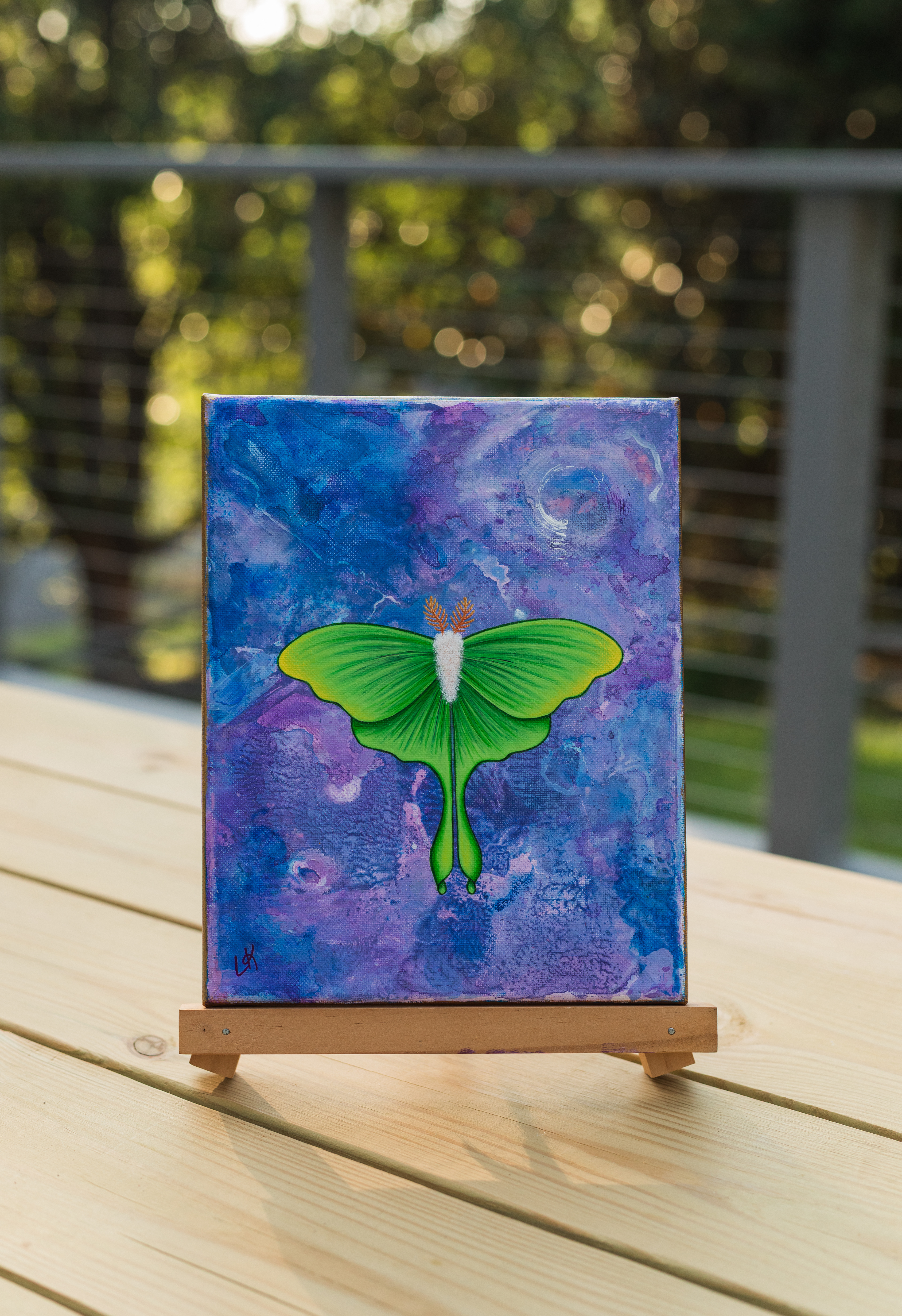 "Evening Reign" $200