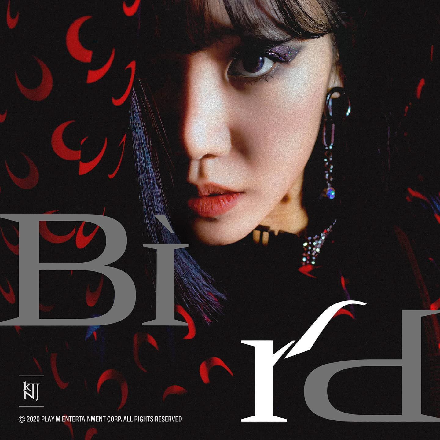 김남주 (KNJ) 1st Single album' [Bird]]  01. Bird