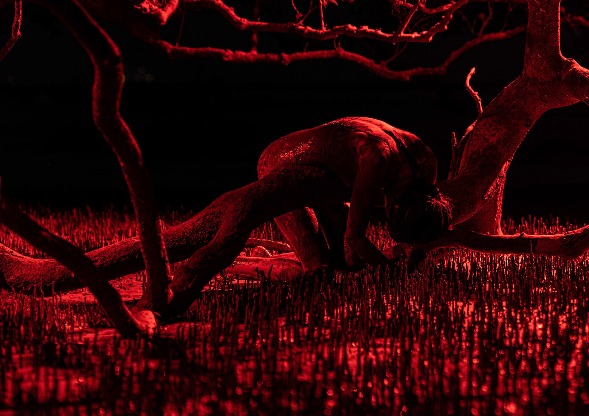 Our oceans are drowning