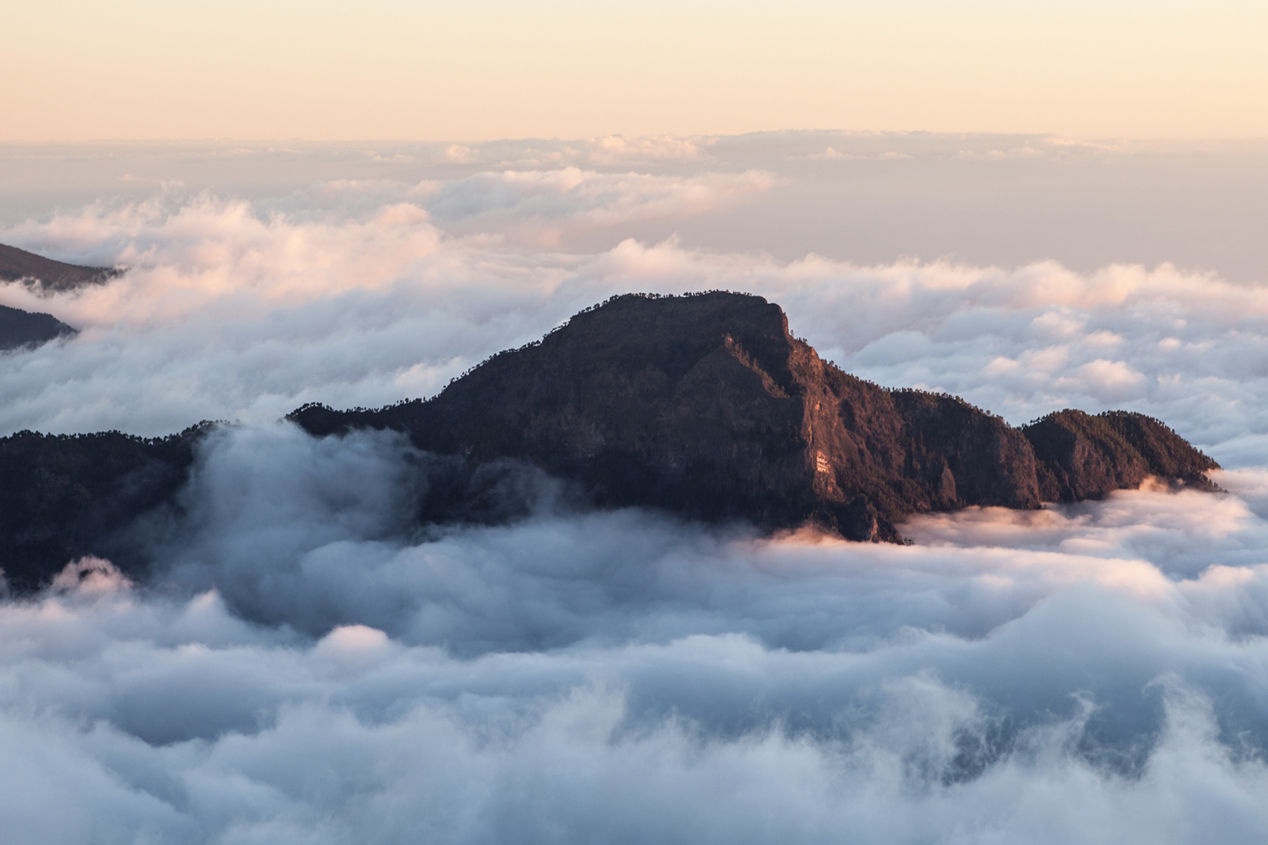 La Palma