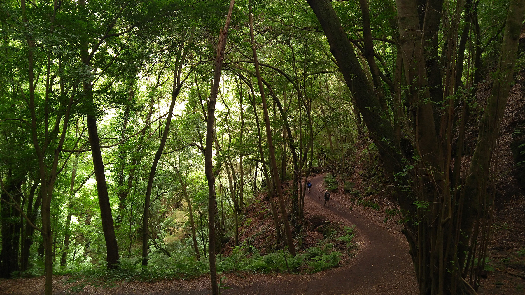 La Palma