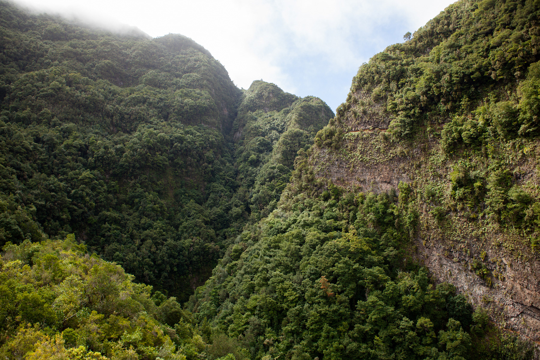 La Palma