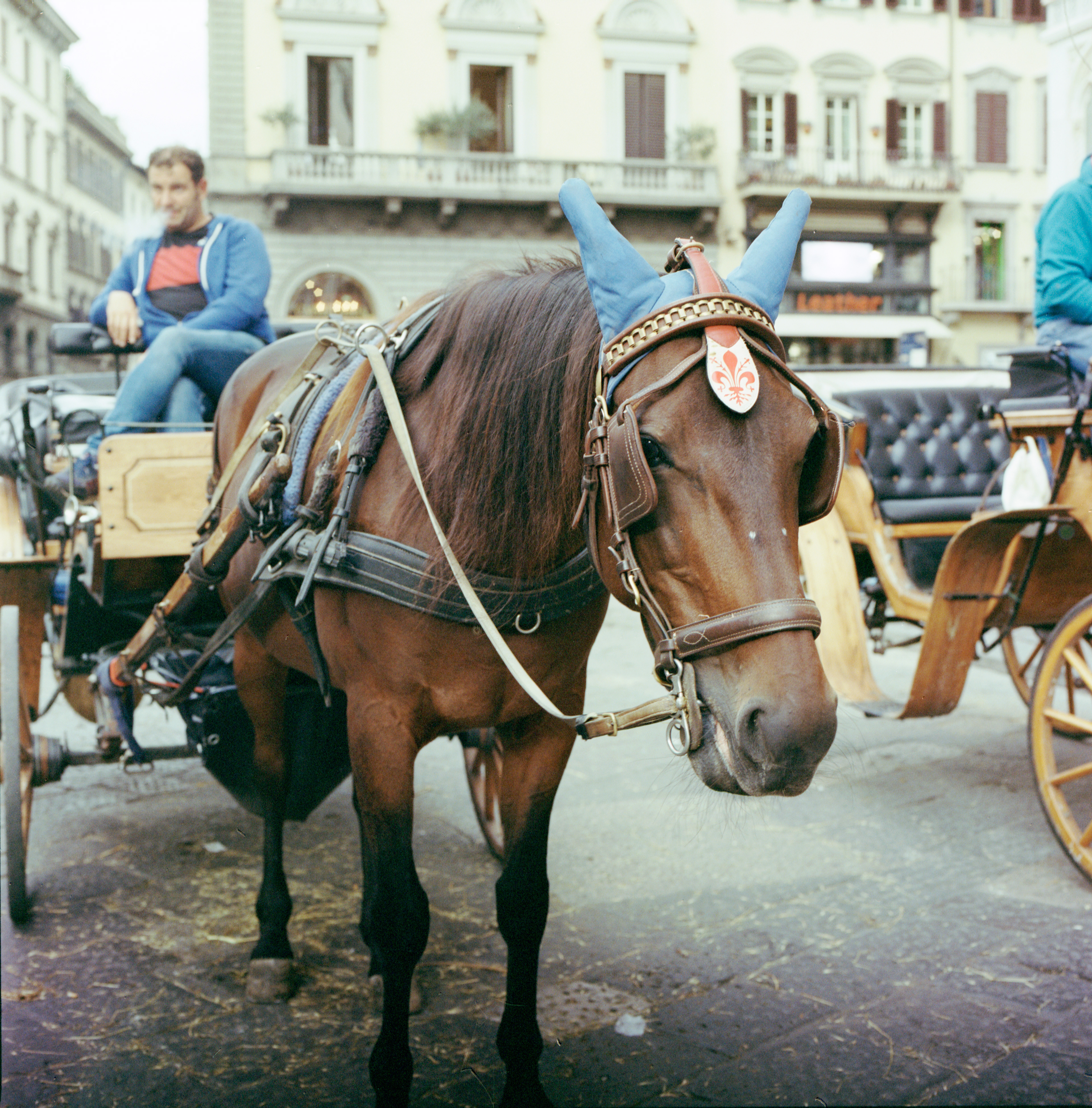 i cavalli di Firenze, Kodak Portra 400