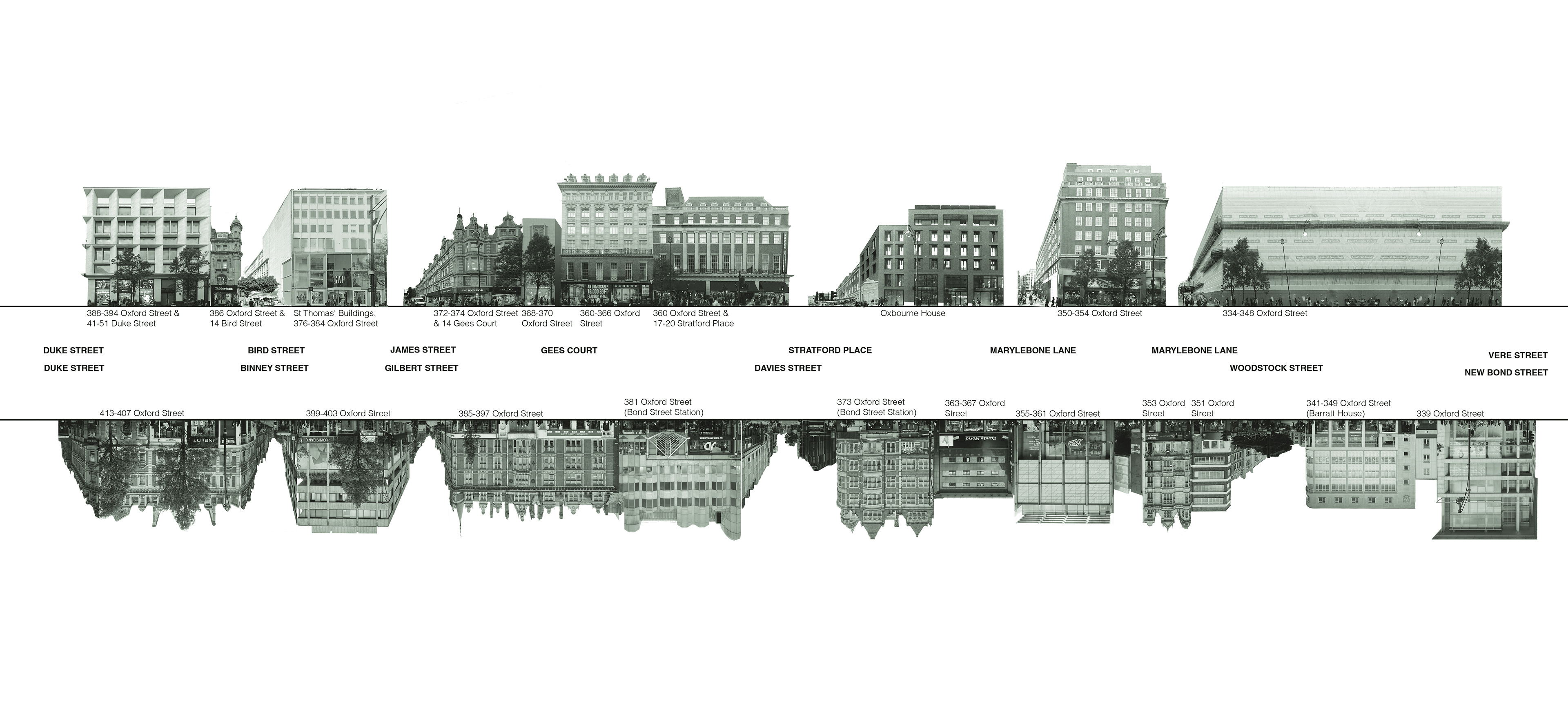 Existing Site Elevation