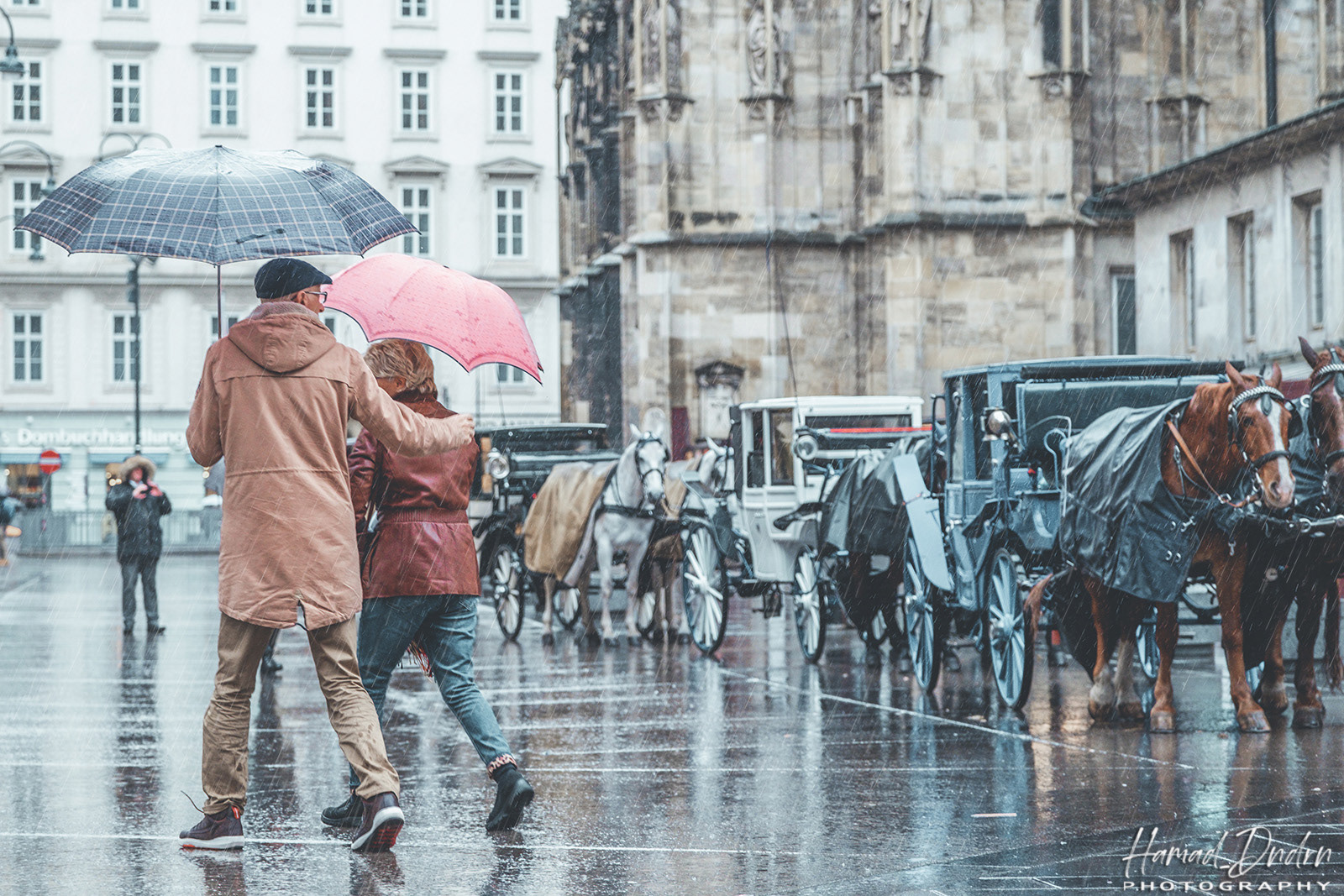 Vienna