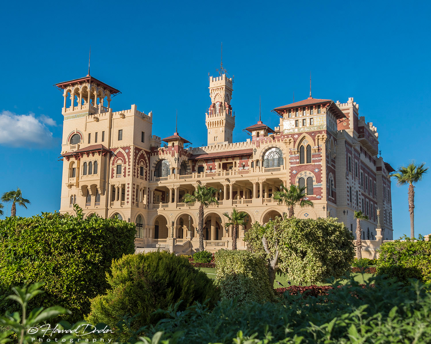 Alexandria