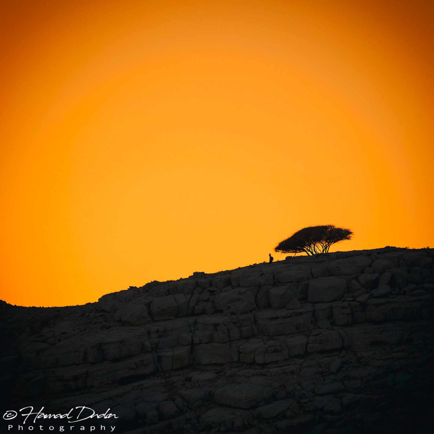 Khasab - Oman