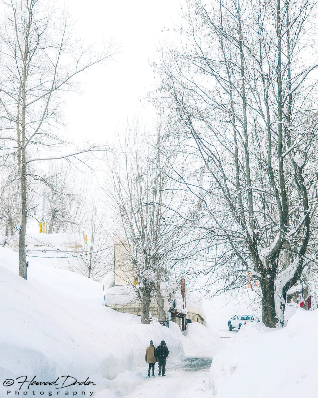 Faraya