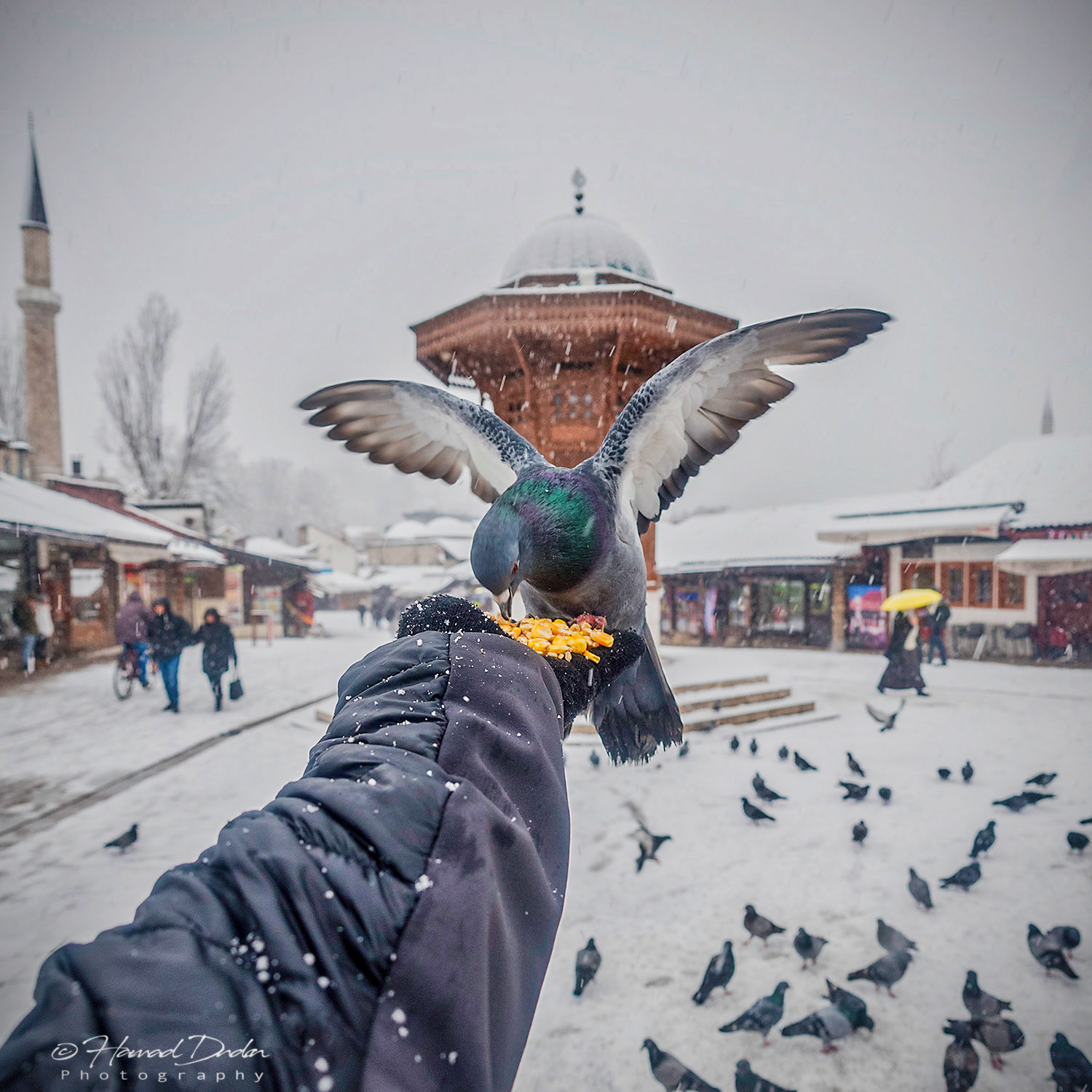 Sarajevo