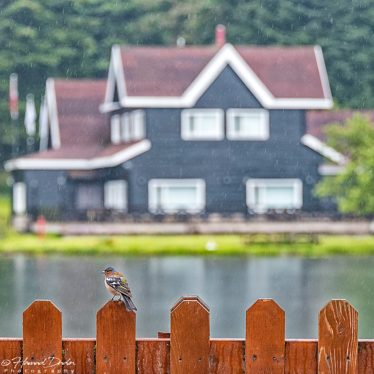 Bolu - Turkey